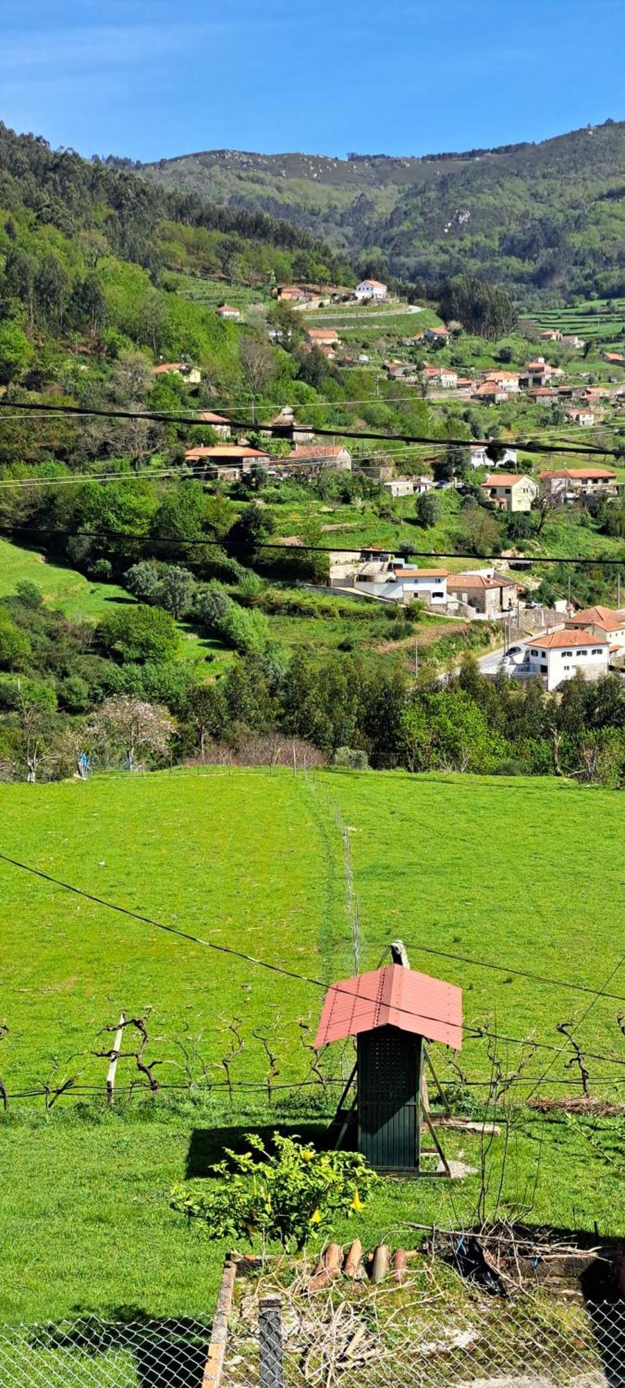 São Mamede de Infesta Refugio Dos Cartolas מראה חיצוני תמונה